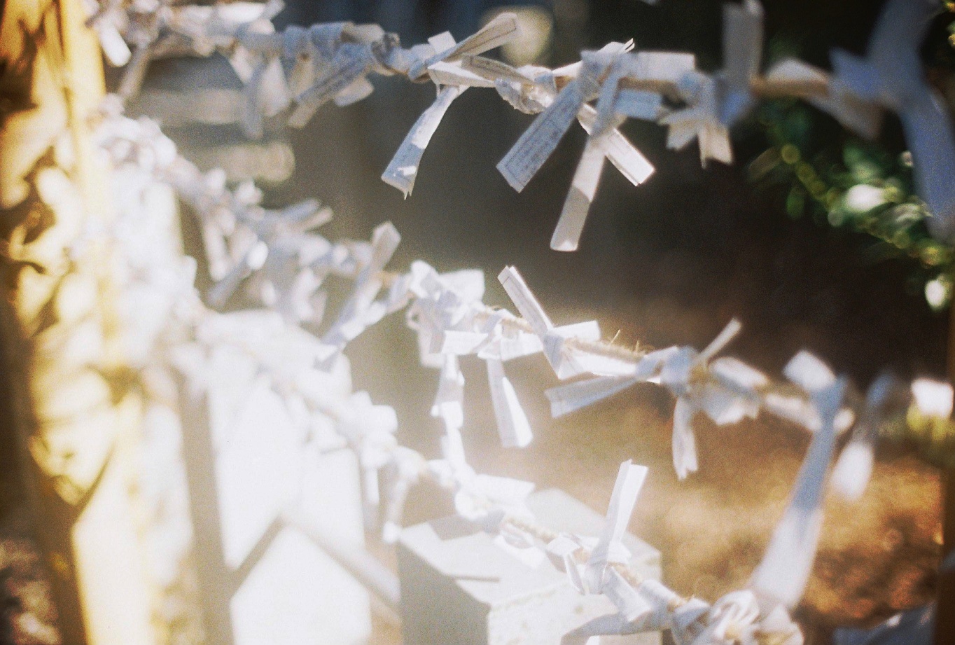 Real archive placeholder